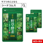 野草酵素 約5ヵ月分/ ダイエット エンザイム 酵素サプリ 酵素 カプセル 野菜 野草 果物 発酵 熟成 ダイエットサプリ　送料無料 サプリ サプリメント 酵素 野草酵素 野草 プチ断食 や 酵素ドリンク より手軽 健康食品