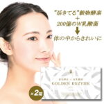 酵素ドリンク 酵素 乳酸菌 粉末 GOLDEN ENZYME 2箱セット サプリメント サプリ 酵素ダイエット 酵素パウダー 酵素サプリメント 酵素ジュース 麹菌 ダイエット ドリンク 穀物酵素 納豆キナーゼ セット 健康 ダイエット食品 置き換え 送料無料