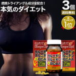 カルニチン・オルニチン＋BCAA 240粒×3個セット 約90〜120日分 送料無料 宅配便 | ダイエット サプリ サプリメント ダイエット食品 ダイエットサプリメント 男性 女性 強力 Lカルニチン αリポ酸 BCAA オルニチン 粒 タブレット まとめ買い